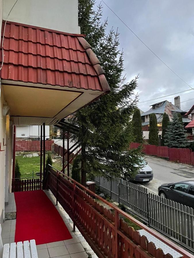 Cristina, Alex Si Prietenii Hotell Buşteni Exteriör bild