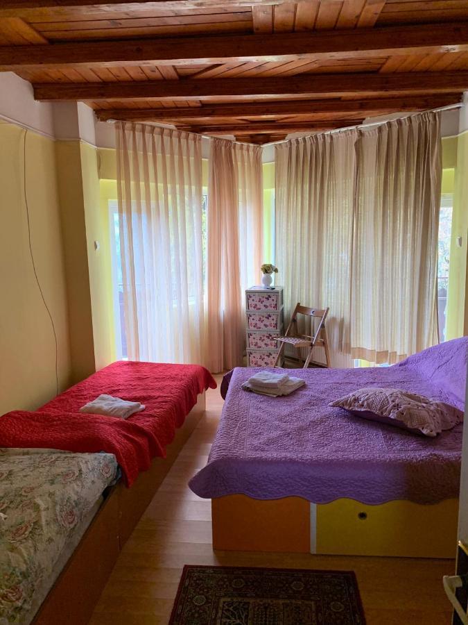 Cristina, Alex Si Prietenii Hotell Buşteni Exteriör bild